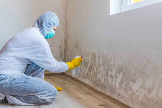 Mold Remediation specialist working in Weems